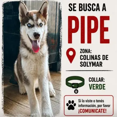 PIPE, Husky en Colinas de Solymar