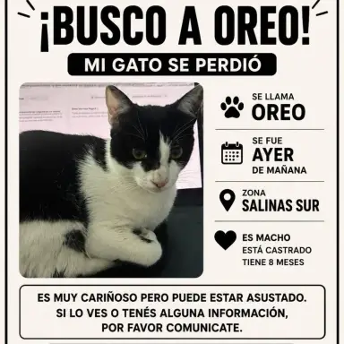 Oreo en Salinas